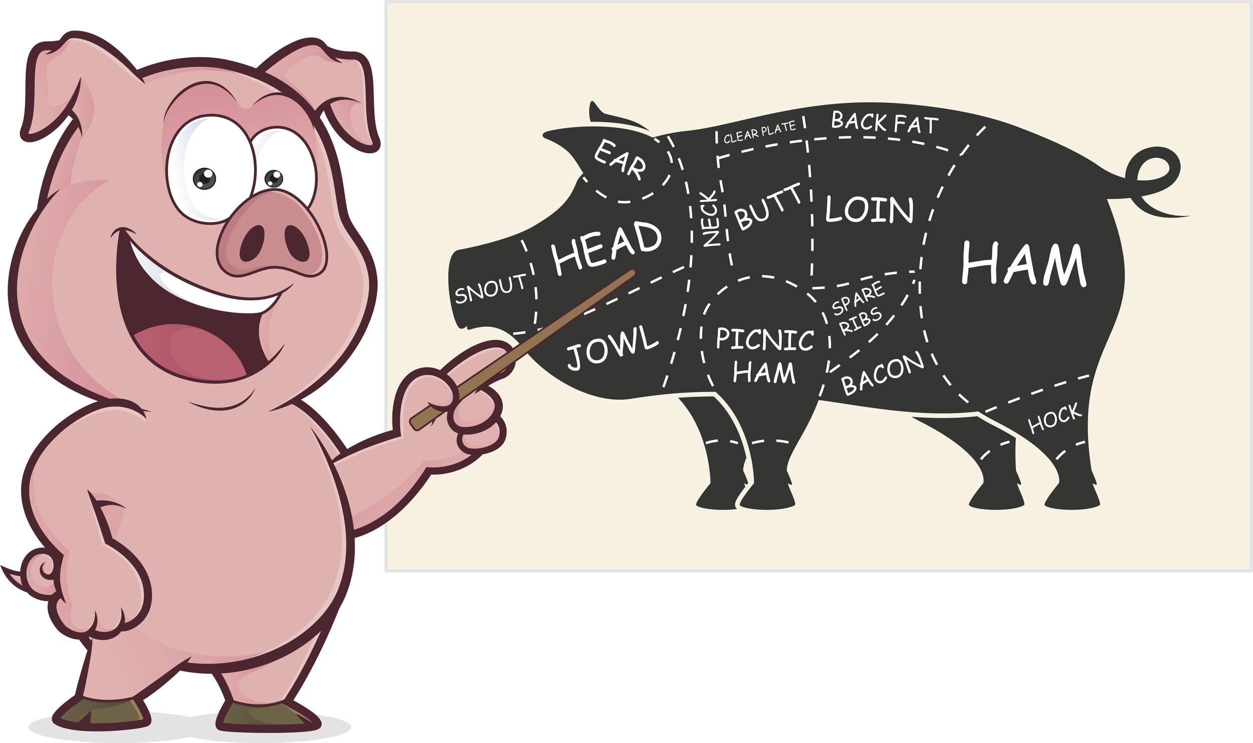 Hog Pig Meat Diagram